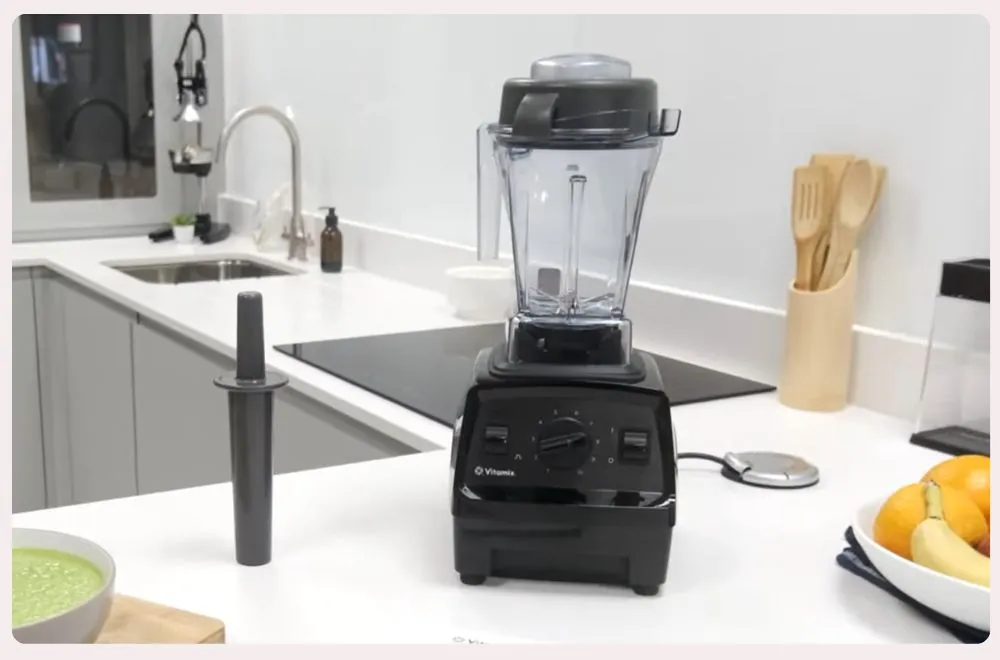 vitamix e310 review