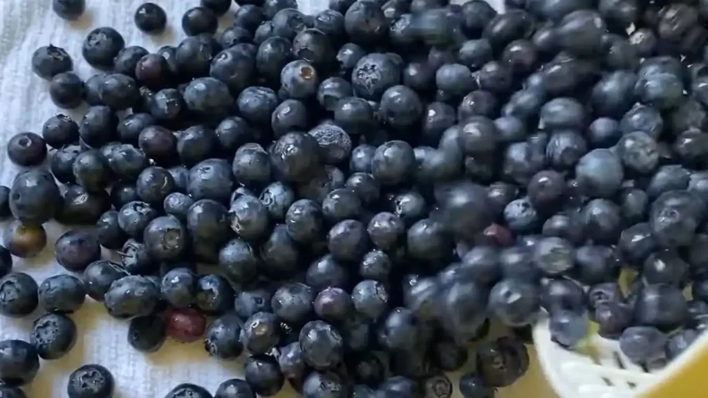 dehydrating blueberries in air fryer