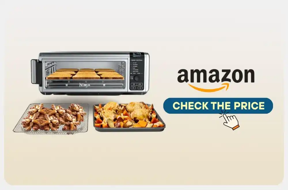 ninja air fryer sp101 review