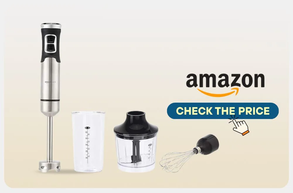 best immersion blender for beginners