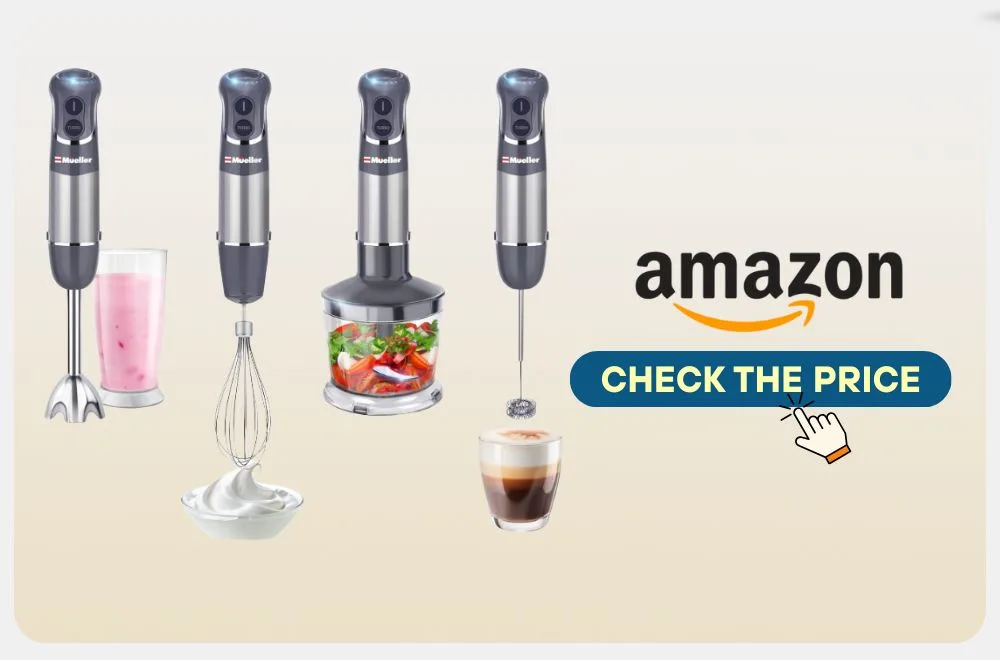 best immersion blender reviews