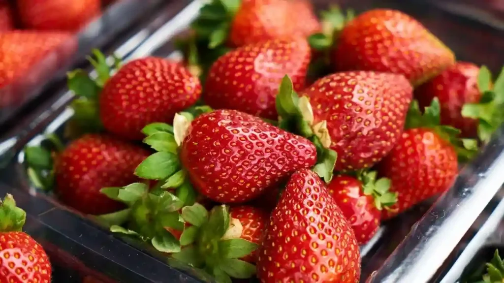 dehydrate blueberries in air fryer
